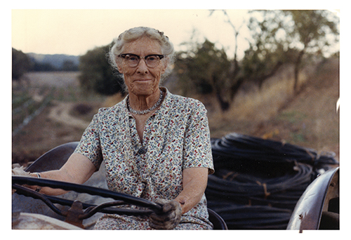 Margaret Hendry, in a flowered housedress, delivers irrigation line to the vineyard on a tractor, 1973