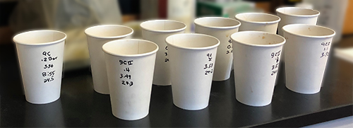 A dozen paper cups on a black countertop, each marked with the block, pressure, and other important details in black.