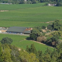 Aerial image of the winery building with green vineyards in the background