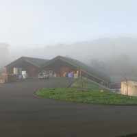 The back of the winery crush pad on a misty morning