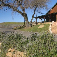 Winery porch, stairs, rosemary hedge and oak tree