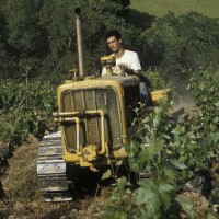 Young Mike Hendry on tractor