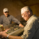 George and Rafa at the Sorting Table