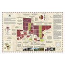 Vineyard Maps